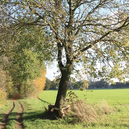 Bei Bunsel's * Versmold